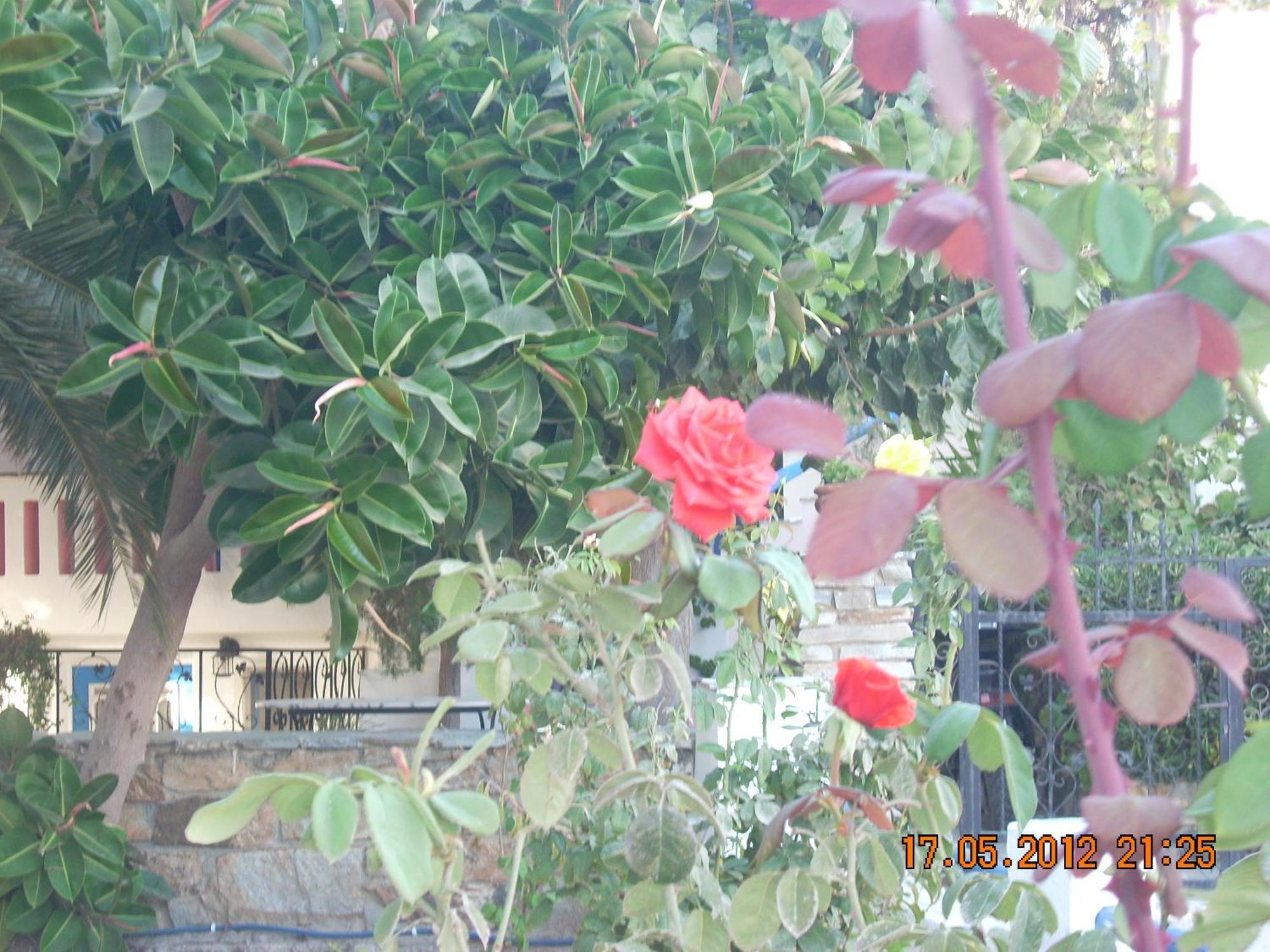 Plaza Studios Agia Anna  Exterior photo